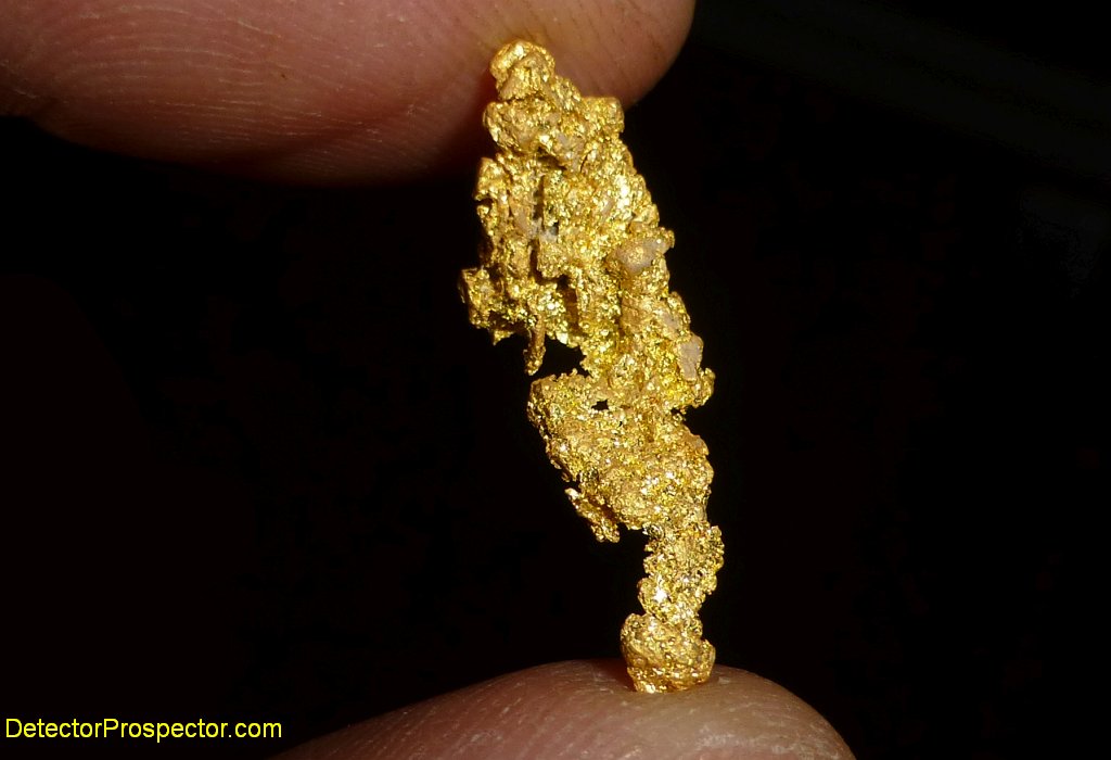 nokta-fors-gold-spectacular-specimen.jpg
