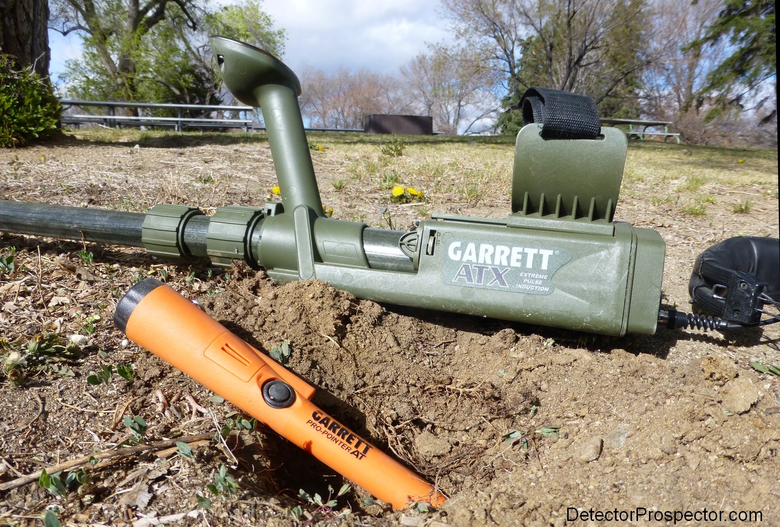 garrett-atx-and-garrett-carrot.jpg
