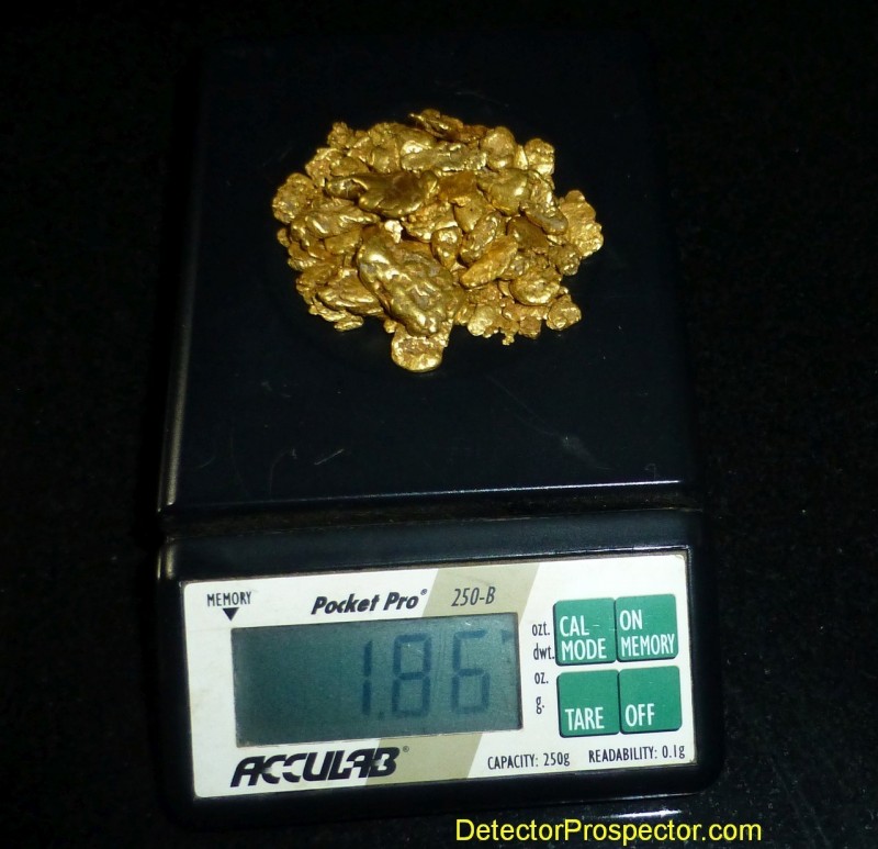 1.86-ounces-gold-nuggets-alaska-steve-herschbach-2021.jpg